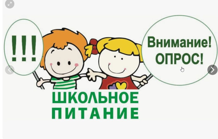 Анкетирования по вопросам организации питания в школах города..